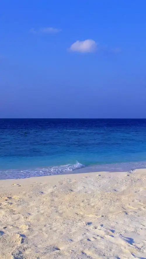 清爽的夏天海滩风光