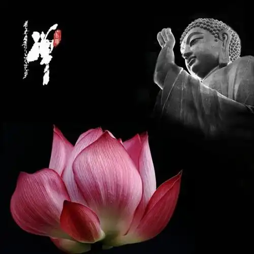 去娑婆世界往弥陀如来之极乐净土,谓之往,化生于彼土莲华中,谓之生.