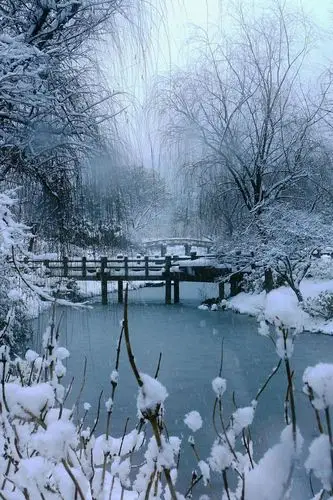冬天里的风景图