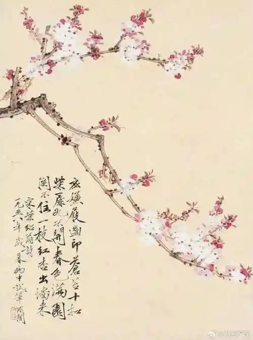 杏花是早春的花,红杏枝头春意闹,杏花开了,春天也就真正地来了.