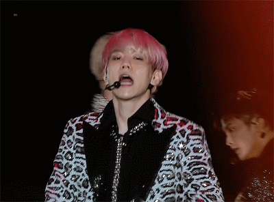 边伯贤tempo动图