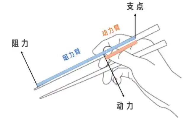 常见的费力杠杆有筷子,手臂,扇子,响板,镊子,汤勺,铁闸门,起重机,鱼竿