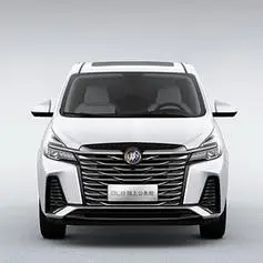 buick别克gl8陆上公务舱652t舒适型雪域白
