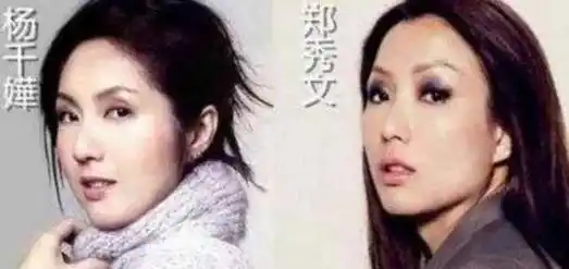 杨千嬅和郑秀文都是香港很有名的歌星和影星,这两个人的样貌也非常