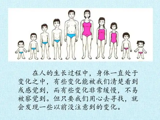 六年级上册科学课件第二单元人体的生长发育复习北京课改版共20张ppt