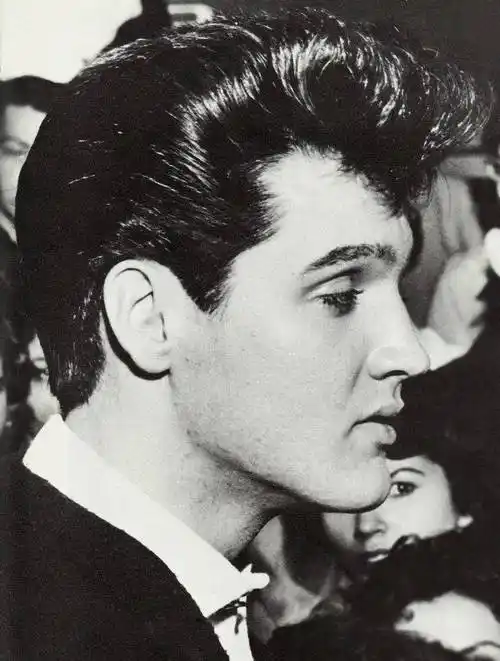 后来被流行巨星猫王传承到了男性头上后,有了更响亮的名字:「飞机头」