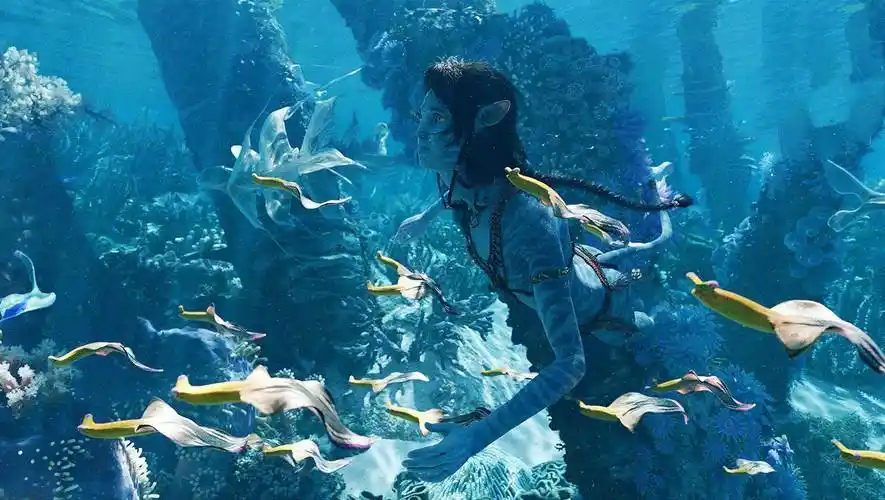 为什么说《阿凡达》充斥着美国人的傲慢?