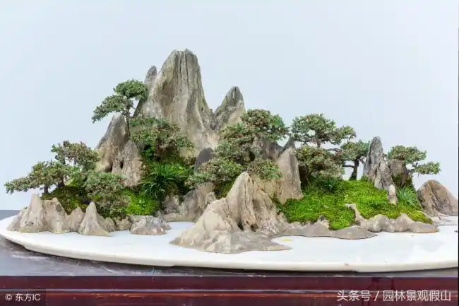 鱼缸假山盆景制作的全过程(小假山盆景制作直播)