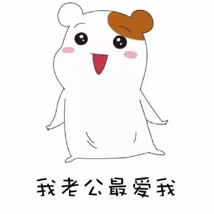 老公斗图表情包(史上最全版)