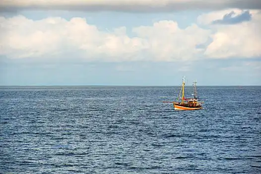 渔船,海上,褐色,公海