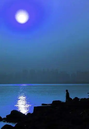 【感悟月下】                  抒情佳怡 今夜星月交辉