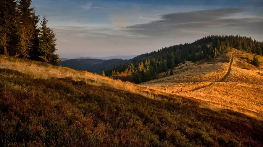 绝美绿色护眼风景高清桌面壁纸