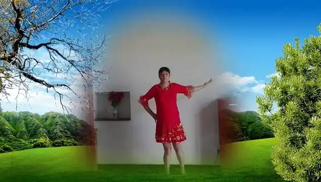 用户4374花墙门珍儿广场舞