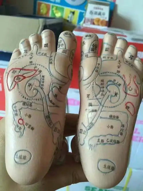 生姜适合:风湿寒气大,宫寒,脾胃寒,风湿,关节炎,滑膜炎,痛风,手脚冰凉