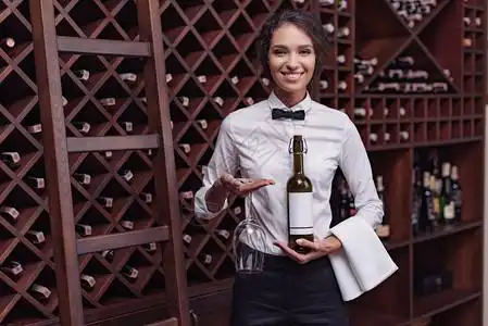 拿着相机 女,年轻美丽的女士的肖像站在酒窖里拿着酒瓶和玻璃站着背景