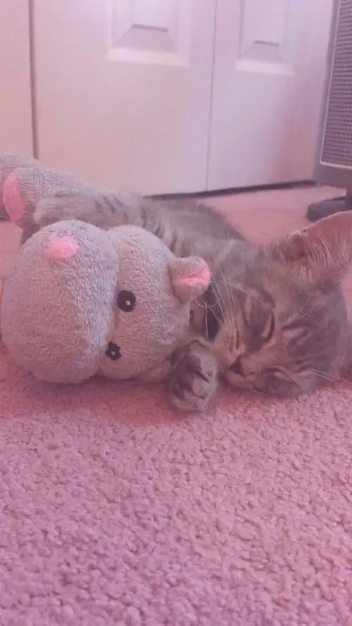 女生 粉色系 可爱 日系 软妹壁纸 手机高清壁纸 小清新 少女心 甜