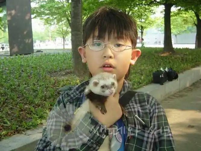 exo朴灿烈小时候 哈哈哈哈哈