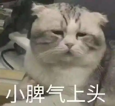 小脾气上头猫咪表情包猫咪上头脾气表情