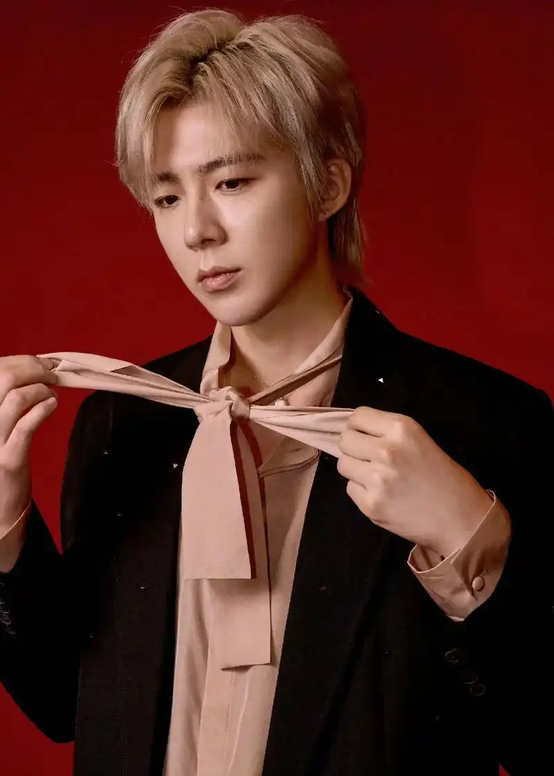 西装杀 #高级感 @摩登兄弟刘宇宁 西装配金发 帅 - 抖音