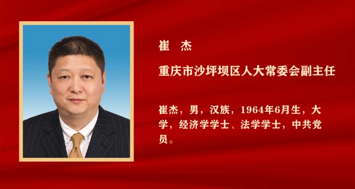 重庆市沙坪坝区人民政府