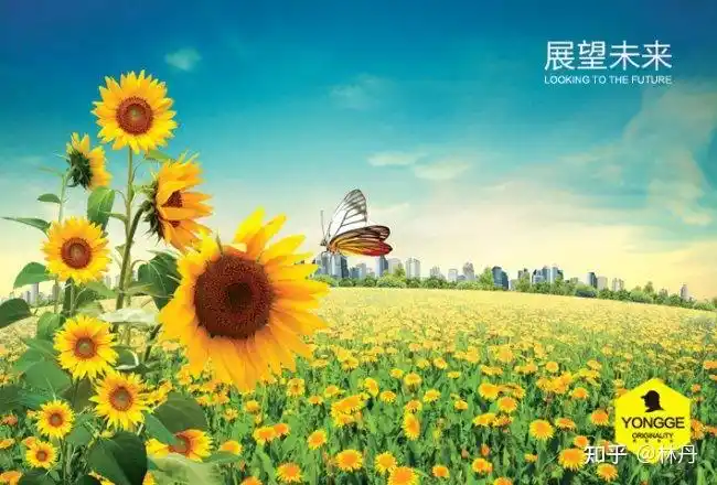 停止内耗你的未来会更加美好