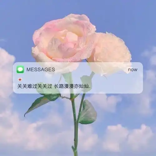 非常暖心的治愈系句子,积极阳光,送给很累的你!