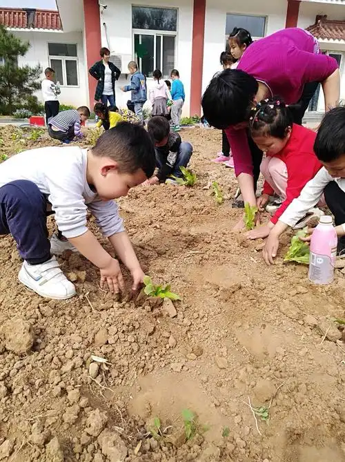谷雨前后,种瓜点豆.一年一度的种植季,孩子们一起动起手来!