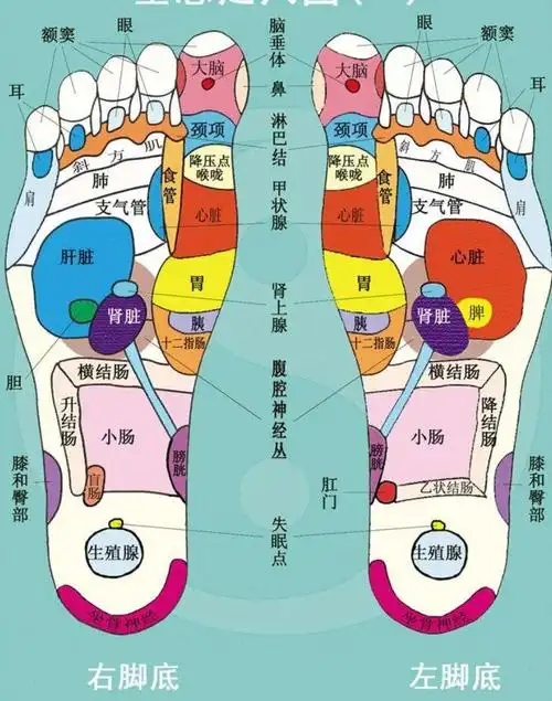 泡脚好春天可升阳固脱夏天可暑湿可祛秋天可肺润肠濡冬天可丹田温灼