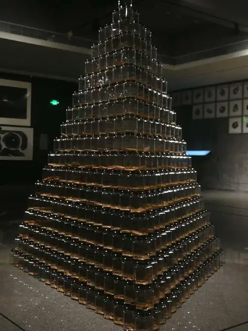 金字塔引发的关于常识的思考