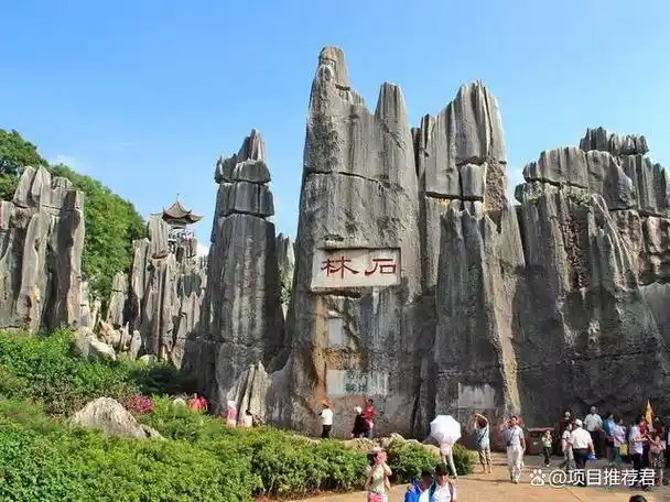 8月去云南旅游,有哪些景点值得推荐?