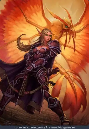 kassandra flameheart血精灵猎人