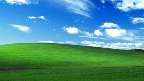 500_281gif 动态图 动图