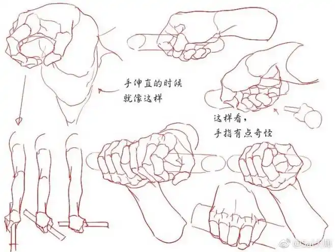 多种人体手部抓握教程仔细观察平时抓握东西时手的姿态p站画师0033id