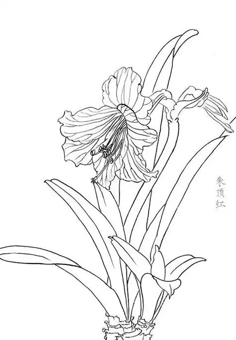 枯萎的花简笔画枯萎的花简笔画简单易学