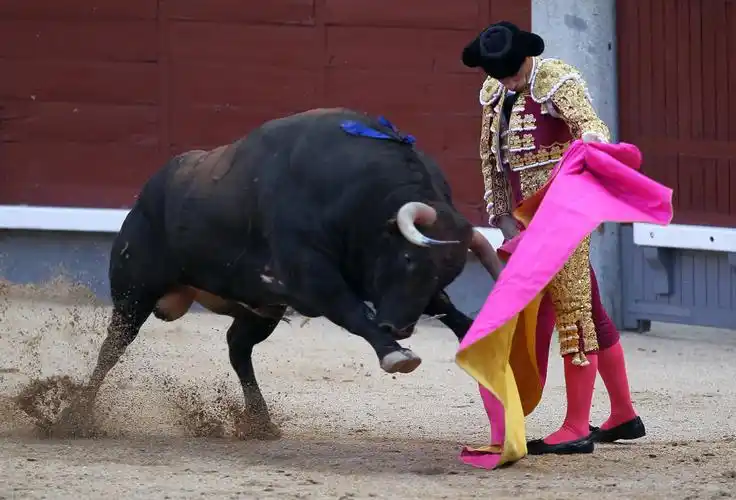 (外代一线)西班牙圣伊西德罗节上的斗牛表演_腾讯新闻