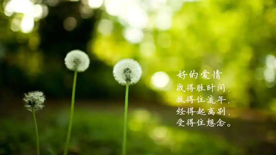 8英寸,5.5英寸,非主流,手机壁纸,锁屏壁纸爱情语录 手机锁屏壁纸