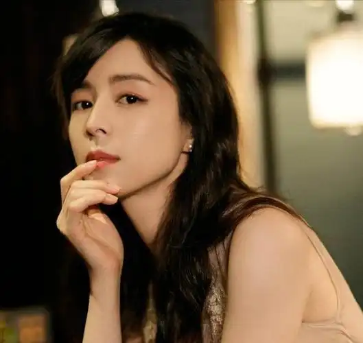 张静初,一个充满神秘与争议的女演员,一直以来,关于她身上的标签都是"