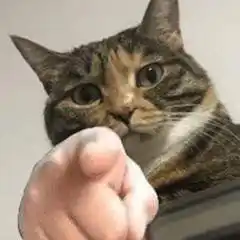 哈士奇指人表情包