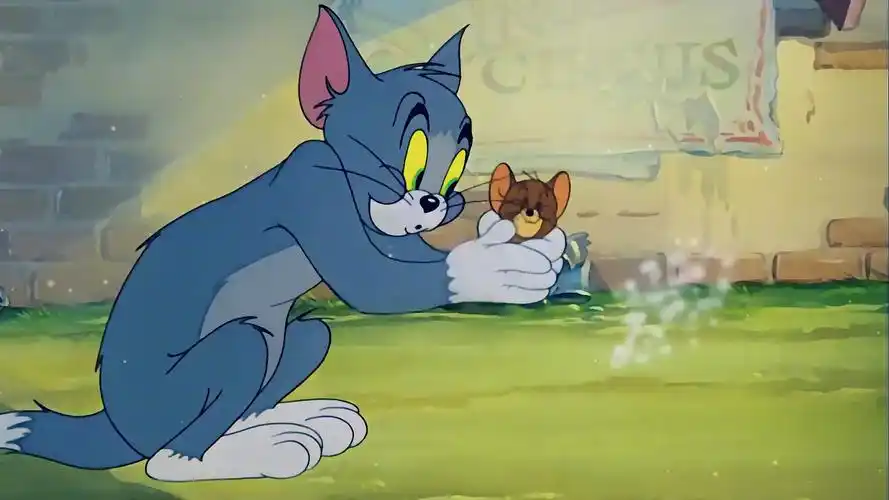 其实汤姆和杰瑞的感情我们比不上的!