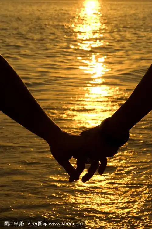 牵手的情侣剪影和夕阳