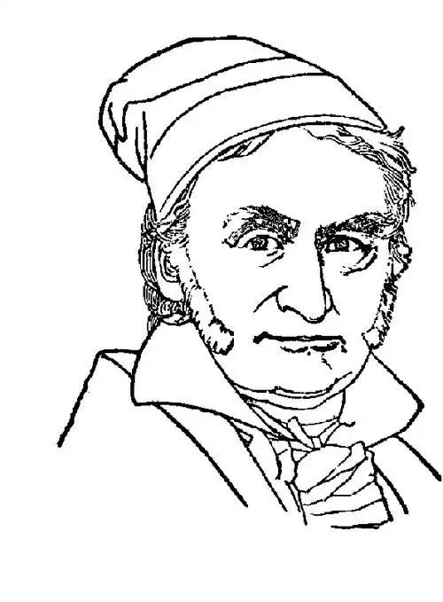 德国数学家,科学家,近代数学奠基者之一.生于不伦瑞克.