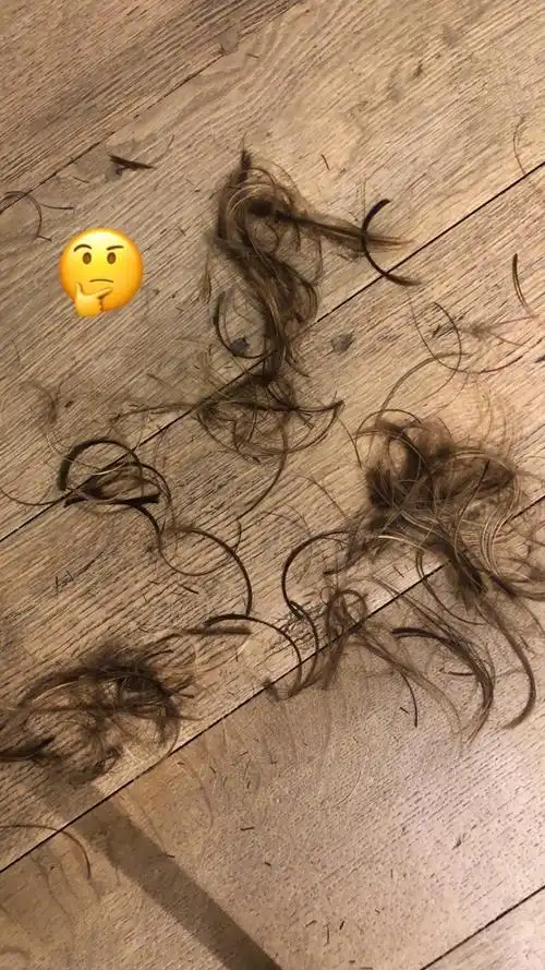 小贝终于剪头发"吓坏"粉丝