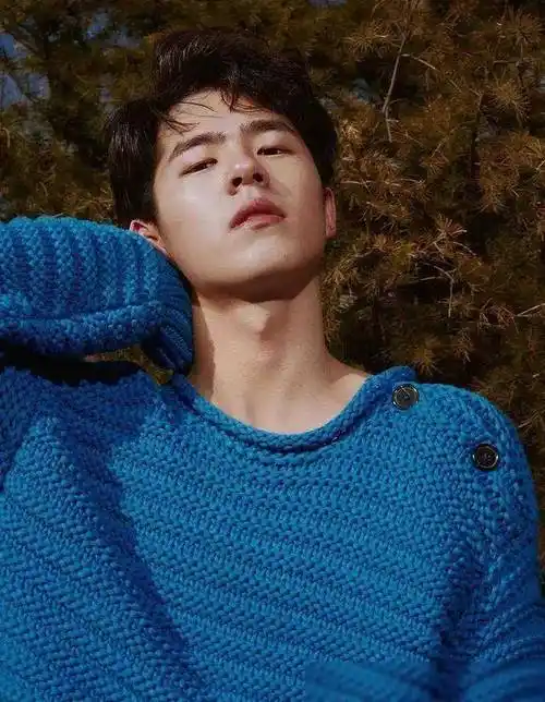 河南籍明星盘点:王一博和刘昊然跻身顶流,马可和释小龙可惜了