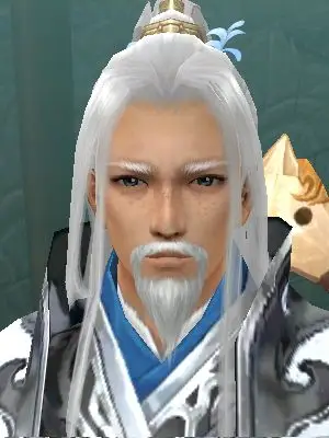 成熟的白发道长