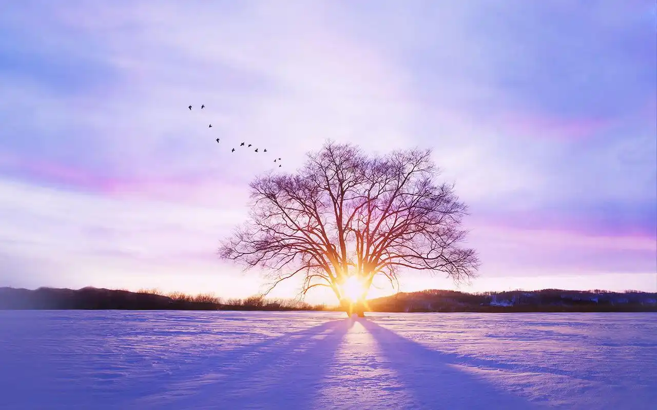 qq空间唯美背景图