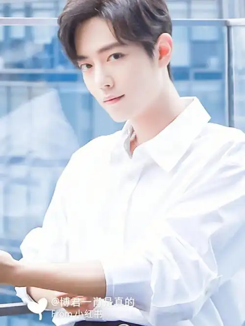 肖战白衬衣yyds