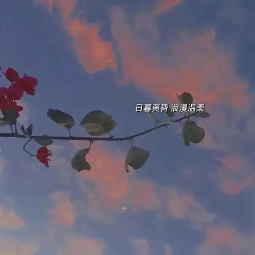 8月29日抖音热门背景图合集