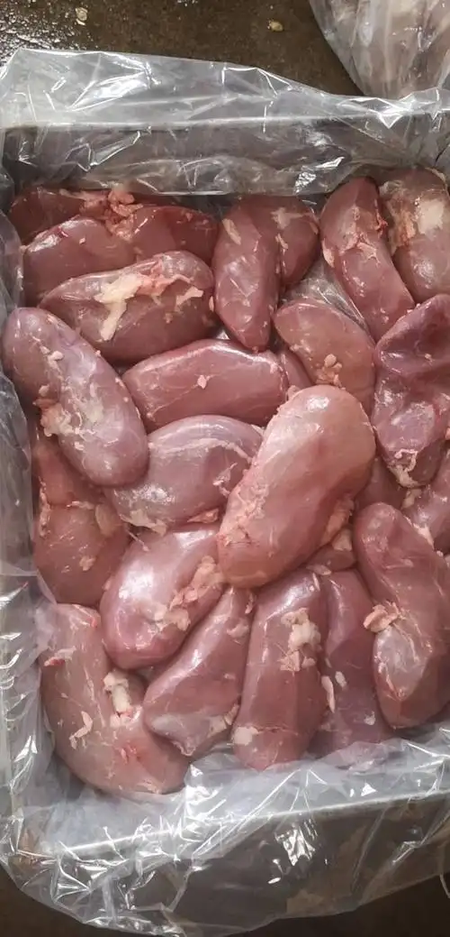 猪腰子 鲜货/冻货都有!