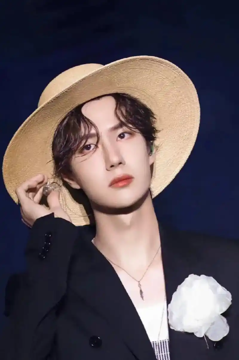 路飞装,芍药花,正衣冠,见良人. #王一 - 抖音