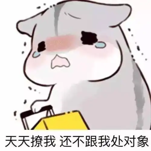 天天撩我还不跟我处对象萌萌哒仓鼠表情包仓鼠萌萌哒可爱表情